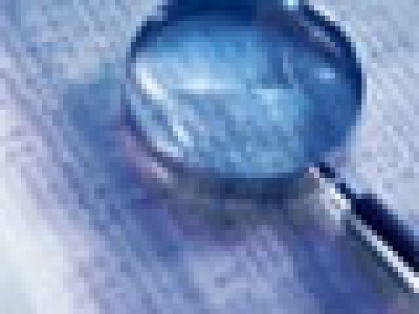 20200109143144_5e176380ed991.jpg